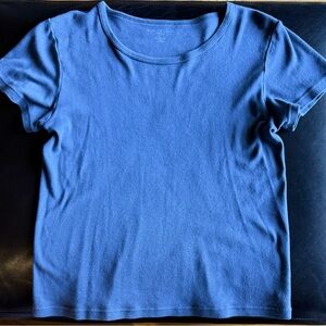 💙Brandy Melville Blue Short Sleeve T-Shirt💙